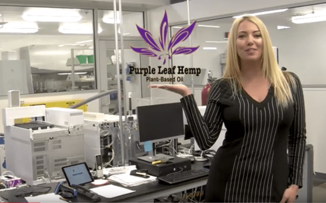 Purple Leaf Hemp with CBD Advertises Mainstream and a Female Did it First